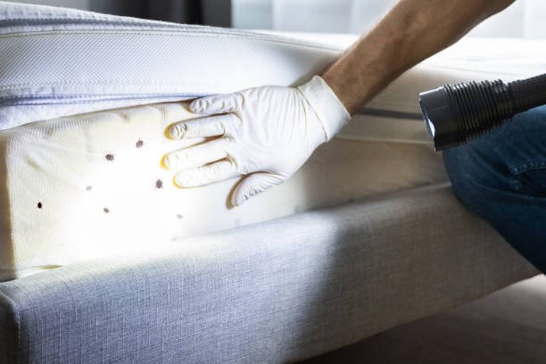 Best Mosquito Control Services  in Selinsgrove, PA